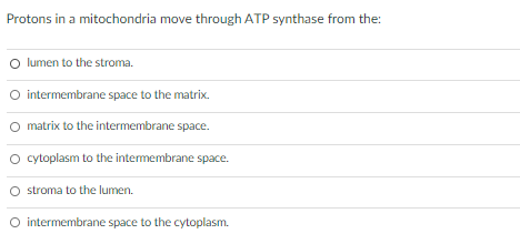 Protons in a mitochondria move through ATP synthase from the:
lumen to the stroma.
O intermembrane space to the matrix.
O matrix to the intermembrane space.
o cytoplasm to the intermembrane space.
stroma to the lumen.
O intermembrane space to the cytoplasm.
