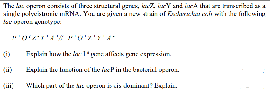 The lac operon consists of three structural genes, lacZ, lacY and lacA that are transcribed as a
single polycistronic mRNA. You are given a new strain of Escherichia coli with the following
lac operon genotype:
p+0°Z•Y*A +// P*O*Z*Y+ A-
(i)
Explain how the lac I ' gene affects gene expression.
(ii)
Explain the function of the lacP in the bacterial operon.
(iii)
Which part of the lac operon is cis-dominant? Explain.
