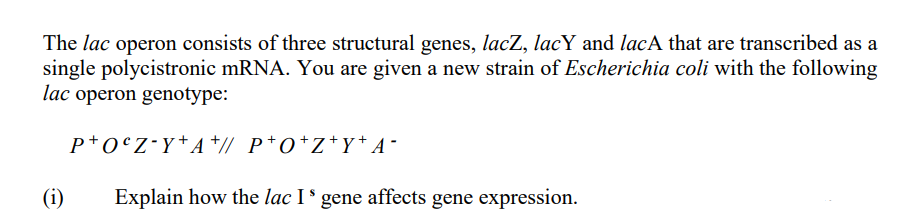 The lac operon consists of three structural genes, lacZ, lacY and lacA that are transcribed as a
single polycistronic mRNA. You are given a new strain of Escherichia coli with the following
lac operon genotype:
p+0°Z•Y*A +// P*O*Z*Y+ A-
(i)
Explain how the lac I ³ gene affects gene expression.
