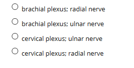 O brachial plexus; radial nerve
brachial plexus; ulnar nerve
O cervical plexus; ulnar nerve
O cervical plexus; radial nerve
