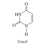 HN
Uracil
