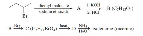diethyl malonate
1. КОН
A
B (C,H12O4)
sodium ethoxide
2. HCI
Br
Br2
B
heat
C (C,H1,BrO4)
NH3,
D
H20
isoleucine (racemic)
