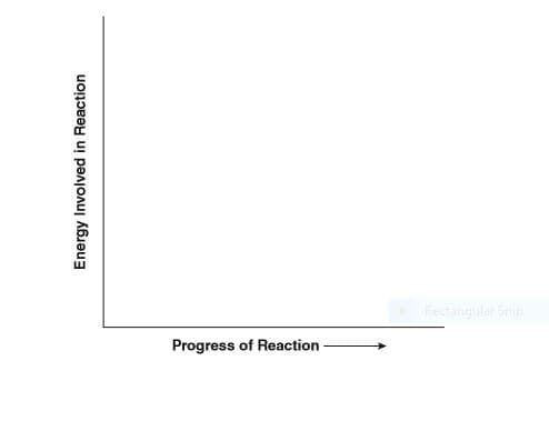 Rectangular Snip
Progress of Reaction
Energy Involved in Reaction
