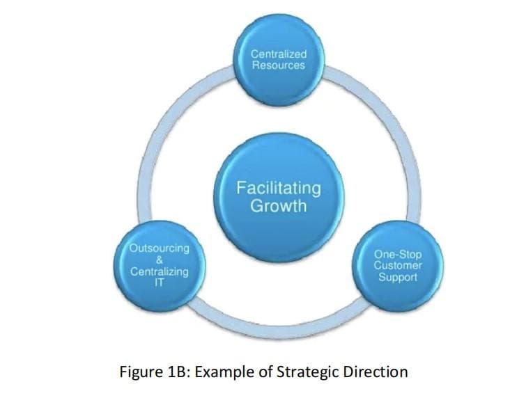 Centralized
Resources
Facilitating
Growth
Outsourcing
&
Centralizing
IT
One-Stop
Customer
Support
Figure 1B: Example of Strategic Direction