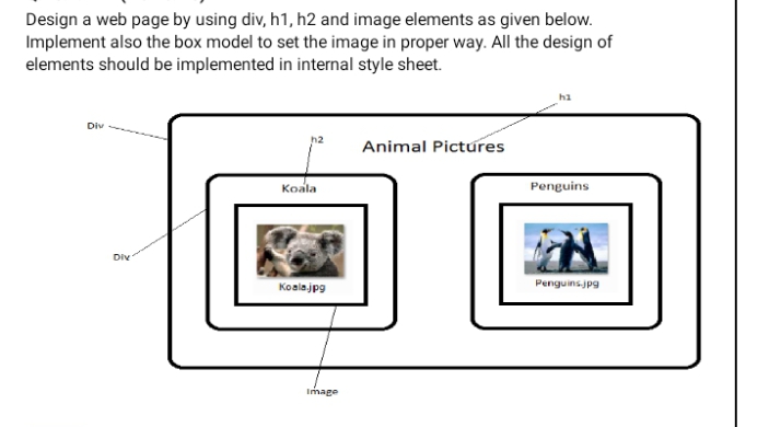 Design a web page by using div, h1, h2 and image elements as given below.
Implement also the box model to set the image in proper way. All the design of
elements should be implemented in internal style sheet.
Div
Animal Pictures
Koala
Penguins
Div
Koalajpg
Penguinsjpg
Image
