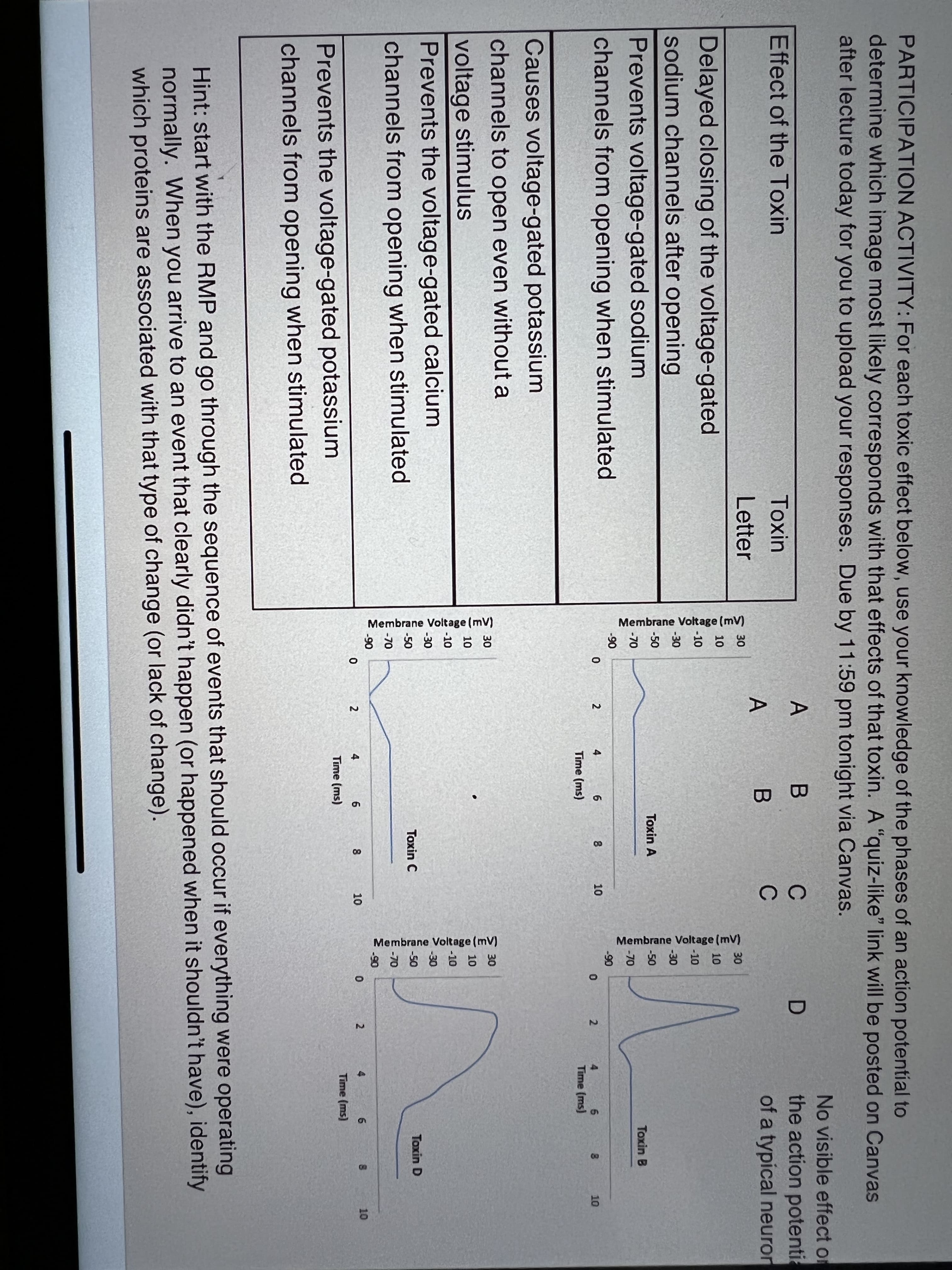 PARTICIPATION ACTIVITY: For each toxic effect below, use your knowledge of the phases of an action potential to
determine which image most likely corresponds with that effects of that toxin. A “quiz-like" link will be posted on Canvas
after lecture today for you to upload your responses. Due by 11:59 pm tonight via Canvas.
No visible effect or
the action potentia
of a typical neuron
A
C
Effect of the Toxin
Toxin
C
A B
Letter
30
30
10
10
Delayed closing of the voltage-gated
sodium channels after opening
-10
-10
-30
-30
-50
Toxin A
-50
Prevents voltage-gated sodium
Toxin B
-70
-70
-90
channels from opening when stimulated
-90
4
6.
8
10
10
Time (ms)
Time (ms)
Causes voltage-gated potassium
channels to open even without a
30
30
voltage stimulus
Prevents the voltage-gated calcium
10
10
-10
-10
-30
-30
Toxin C
-50
Toxin D
-50
channels from opening when stimulated
-70
-70
-90
4
6.
10
4
6
8
10
Time (ms)
Time (ms)
Prevents the voltage-gated potassium
channels from opening when stimulated
Hint: start with the RMP and go through the sequence of events that should occur if everything were operating
normally. When you arrive to an event that clearly didn't happen (or happened when it shouldn't have), identify
which proteins are associated with that type of change (or lack of change).
Membrane Voltage (mV)
Membrane Voltage (mV)
Membrane Voltage (mV)
Membrane Voltage (mV)
2.
2.
00
00
