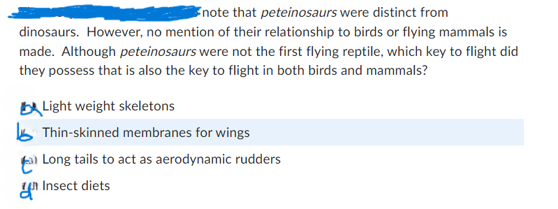 note that peteinosaurs were distinct from
dinosaurs. However, no mention of their relationship to birds or flying mammals is
made. Although peteinosaurs were not the first flying reptile, which key to flight did
they possess that is also the key to flight in both birds and mammals?
Light weight skeletons
Thin-skinned membranes for wings
(3) Long tails to act as aerodynamic rudders
Insect diets