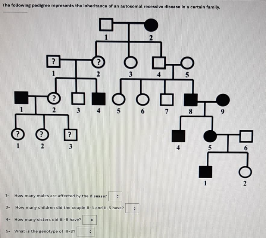 The following pedigree represents the inheritance of an autosomal recessive disease in a certain family.
2
5
2
4
5
8
3
4.
6.
1
1-
How many males are affected by the disease?
3-
How many children did the couple Il-4 and Il-5 have?
4-
How many sisters did III-8 have?
5-
What is the genotype of III-8?
40
