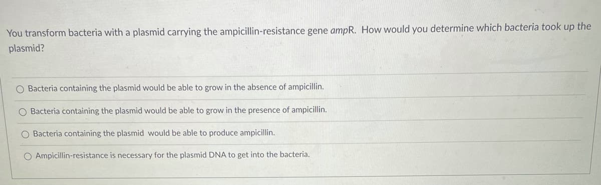 You transform bacteria with a plasmid carrying the ampicillin-resistance gene ampR. How would you determine which bacteria took up the
plasmid?
O Bacteria containing the plasmid would be able to grow in the absence of ampicillin.
O Bacteria containing the plasmid would be able to grow in the presence of ampicillin.
O Bacteria containing the plasmid would be able to produce ampicillin.
O Ampicillin-resistance is necessary for the plasmid DNA
get into the bacteria.

