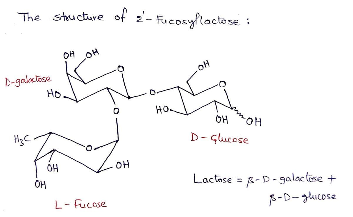 The stucture of 2'- Fucosyflactose :
OH
D-galactose
HO
HOa
6H
HO.
D- Glucose
HzC
OH
OH
Lactose = B-D- galactose +
%3D
OH
B-D- glucose
L- Fucose
40
