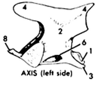 2
8
AXIS (left side)
