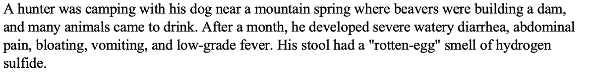 A hunter was camping with his dog near a mountain spring where beavers were building a dam,
and many animals came to drink. After a month, he developed severe watery diarrhea, abdominal
pain, bloating, vomiting, and low-grade fever. His stool had a "rotten-egg" smell of hydrogen
sulfide.