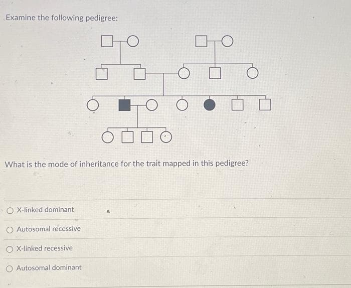 Examine the following pedigree:
-O
O X-linked dominant
O Autosomal recessive
O X-linked recessive
O Autosomal dominant
TO
What is the mode of inheritance for the trait mapped in this pedigree?