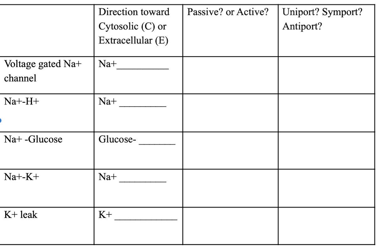 Voltage gated Na+
channel
Na+-H+
Na+ -Glucose
Na+-K+
K+ leak
Direction toward
Cytosolic (C) or
Extracellular (E)
Na+
Na+
Glucose-
Na+
K+
Passive? or Active?
Uniport? Symport?
Antiport?