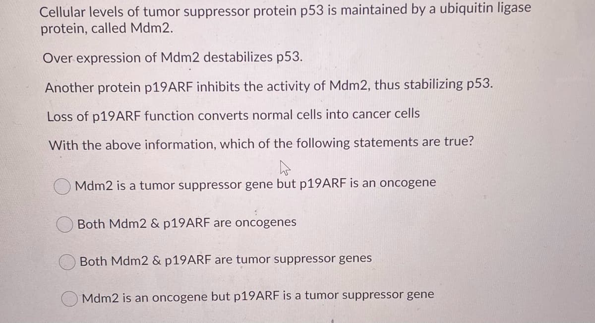 Cellular levels of tumor suppressor protein p53 is maintained by a ubiquitin ligase
protein, called Mdm2.
Over expression of Mdm2 destabilizes p53.
Another protein p19ARF inhibits the activity of Mdm2, thus stabilizing p53.
Loss of p19ARF function converts normal cells into cancer cells
With the above information, which of the following statements are true?
Mdm2 is a tumor suppressor gene but p19ARF is an oncogene
Both Mdm2 & P19ARF are oncogenes
Both Mdm2 & P19ARF are tumor suppressor genes
O Mdm2 is an oncogene but p19ARF is a tumor suppressor gene
