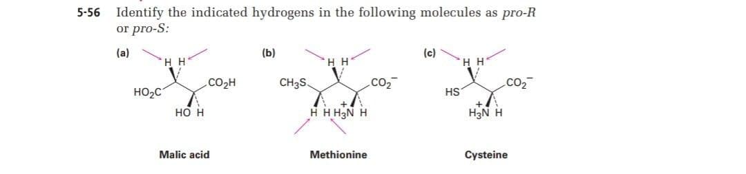 5-56 Identify the indicated hydrogens in the following molecules as pro-R
or pro-S:
(a)
(b)
(c)
H H
H H
CO2H
CH3S.
CO,
.CO2
HO2C
HS
но н
H H H3N H
H3N H
Malic acid
Methionine
Cysteine
