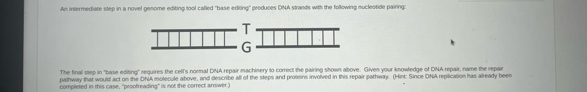 An intermediate step in a novel genome editing tool called "base editing" produces DNA strands with the following nucleotide pairing:
T
G
The final step in "base editing" requires the cell's normal DNA repair machinery to correct the pairing shown above. Given your knowledge of DNA repair, name the repair
pathway that would act on the DNA molecule above, and describe all of the steps and proteins involved in this repair pathway. (Hint: Since DNA replication has already been
completed in this case, "proofreading" is not the correct answer.)
