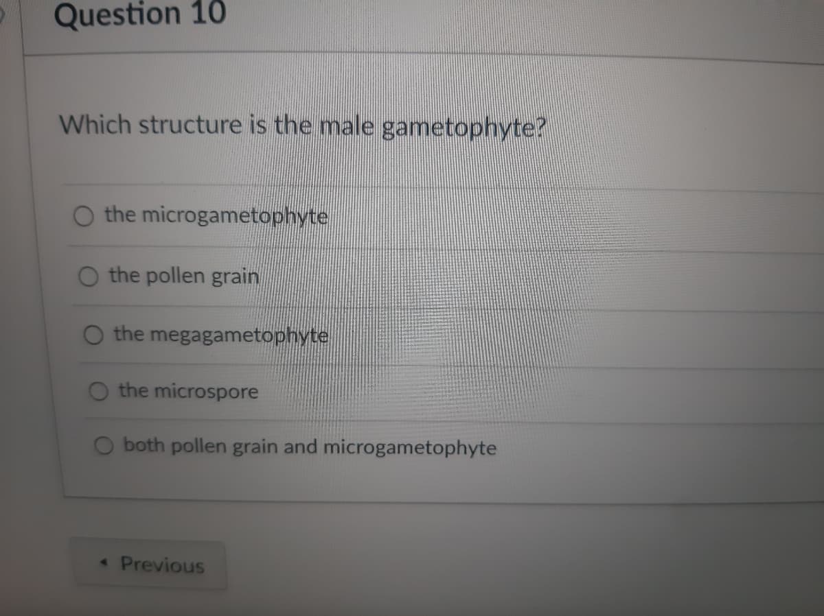 Question 10
Which structure is the male gametophyte?
O the microgametophyte
the pollen grain
the megagametophyte
the microspore
both pollen grain and microgametophyte
< Previous