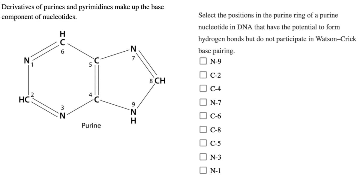 Derivatives of purines and pyrimidines make up the base
component of nucleotides.
1
HCA
6
N
7
5
HC?
3
4
ING
H
Purine
8 CH
Select the positions in the purine ring of a purine
nucleotide in DNA that have the potential to form
hydrogen bonds but do not participate in Watson-Crick
base pairing.
ㅁㅁㅁ
N-9
C-2
C-4
N-7
C-6
C-8
C-5
N-3
N-1
☐ ☐ ☐ ☐