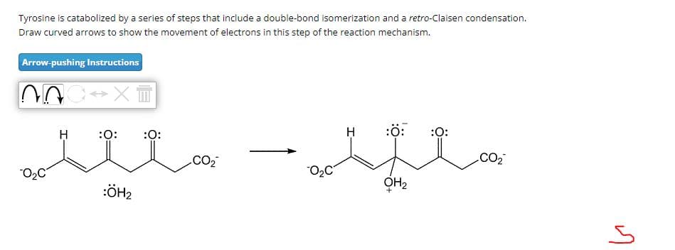 Tyrosine is catabolized by a series of steps that include a double-bond isomerization and a retro-Claisen condensation.
Draw curved arrows to show the movement of electrons in this step of the reaction mechanism.
Arrow-pushing Instructions
X
:0:
CO2
H
:0:
:0:
H
ستيد - منتد
OH2
.CO₂
-O₂C
:ÖH2
یا
S