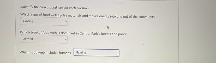 Indentify the correct food web for each question.
Which type of food web cycles materials and moves energy into and out of the community?
Grazing
Which type of food web is dominant in Central Park's forests and pond?
Detrital
Which food web includes humans? Grazing