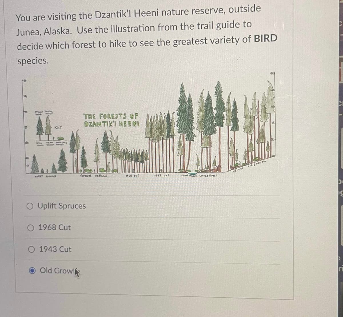 You are visiting the Dzantik'l Heeni nature reserve, outside
Junea, Alaska. Use the illustration from the trail guide to
decide which forest to hike to see the greatest variety of BIRD
species.
E
KEY
Impliet spruces
O 1968 Cut
O Uplift Spruces
O 1943 Cut
THE FORESTS OF
OZANTIK'I HEENI
Old Grow
Carested wetland
Mis cut
1143 cut
flood plan sprace forest
01
D
C
ri