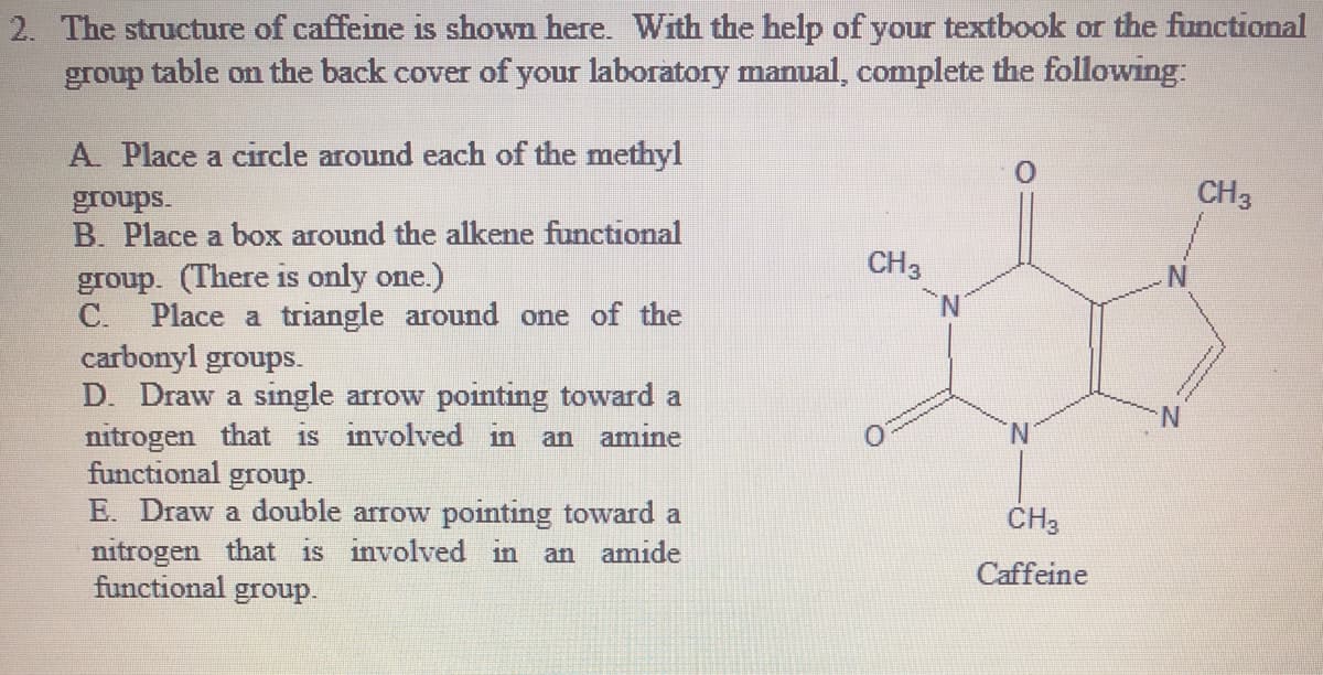 2. The structure of caffeine is shown here. With the help of your textbook or the functional
group table on the back cover of your laboratory manual, complete the following:
A Place a circle around each of the methyl
CH3
groups.
B. Place a box around the alkene functional
CH3
group. (There is only one.)
C. Place a triangle around one of the
carbonyl groups.
D. Draw a single arrow pointing toward a
nitrogen that is involved in
functional
N.
an amine
N.
group.
E. Draw a double arrow pointing toward a
nitrogen that is involved in
functional
CH3
an amide
Caffeine
group.

