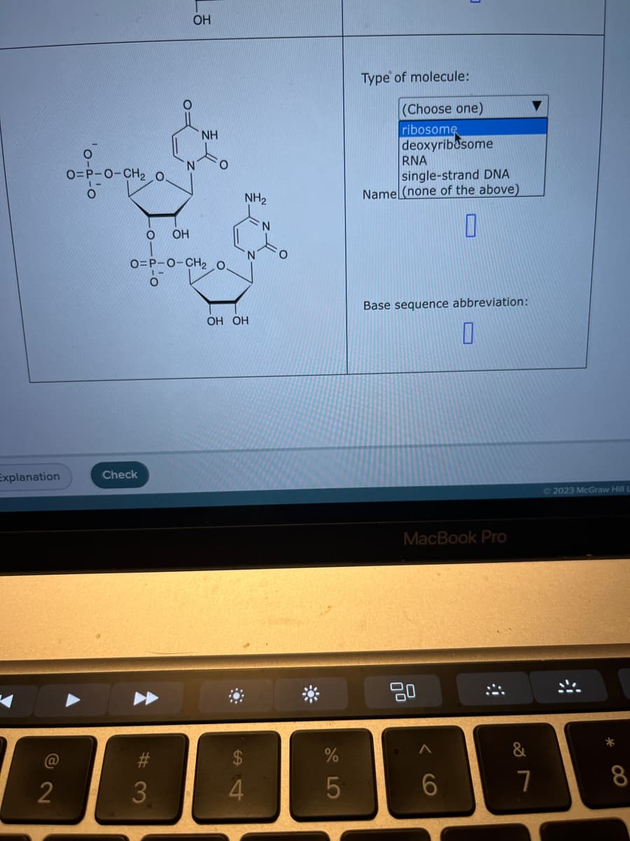 Explanation
@
2
O
O=P-O-CH₂ 0.
O
-012-0
Check
O OH
O=P-O-CH₂. O.
#3
OH
3
NH
NH₂
OH OH
4
%
5
Type of molecule:
(Choose one)
ribosome
deoxyribosome
RNA
single-strand DNA
Name (none of the above)
0
Base sequence abbreviation:
MacBook Pro
80
맴
0
6
&
7
Ⓒ2023 McGraw Hill L
#
*
8