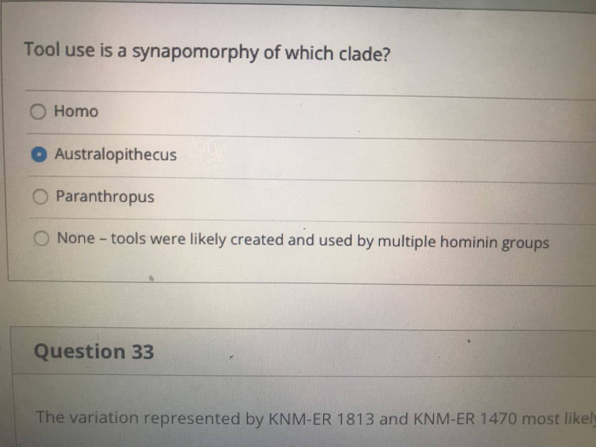 Tool use is a synapomorphy of which clade?
Homo
Australopithecus
O Paranthropus
None - tools were likely created and used by multiple hominin groups
Question 33
The variation represented by KNM-ER 1813 and KNM-ER 1470 most likely
