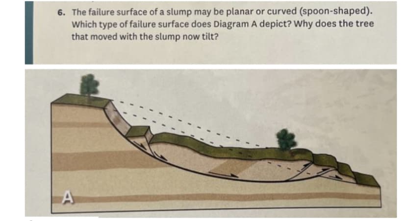 6. The failure surface of a slump may be planar or curved (spoon-shaped).
Which type of failure surface does Diagram A depict? Why does the tree
that moved with the slump now tilt?
A