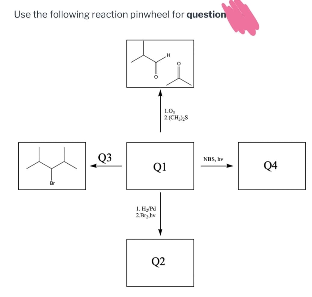 Use the following reaction pinwheel for question
H
Q3
1.03
2.(CH3)2S
NBS, hv
Q4
[ན་མིག་]," [ 。 “s.
Br
1. H₂/Pd
2.Br2,hv
Q1
Q2