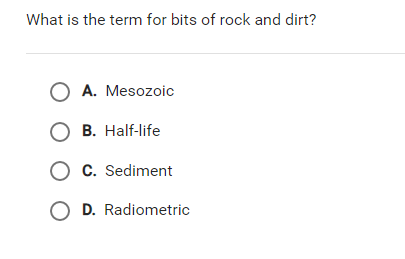 What is the term for bits of rock and dirt?
O A. Mesozoic
O B. Half-life
O c. Sediment
O D. Radiometric
