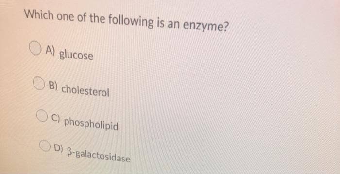 Which one of the following is an enzyme?
A) glucose
B) cholesterol
C) phospholipid
D) B-galactosidase
