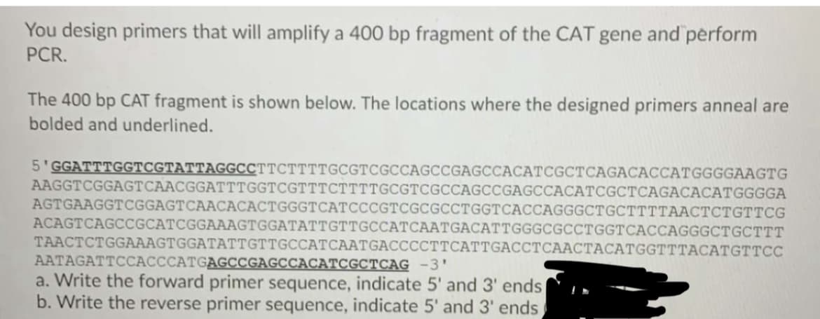 You design primers that will amplify a 400 bp fragment of the CAT gene and perform
PCR.
The 400 bp CAT fragment is shown below. The locations where the designed primers anneal are
bolded and underlined.
5'GGATTTGGTCGTATTAGGCCTTCTTTTGCGTCGCCAGCCGAGCCACATCGCTCAGACACCATGGGGAAGTG
AAGGTCGGAGTCAACGGATTTGGTCGTTTCTTTTGCGTCGCCAGCCGAGCCACATCGCTCAGACACATGGGGA
AGTGAAGGTCGGAGTCAACACACTGGGTCATCCCGTCGCGCCTGGTCACCAGGGCTGCTTTTAACTCTGTTCG
ACAGTCAGCCGCATCGGAAAGTGGATATTGTTGCCATCAATGACATTGGGCGCCTGGTCACCAGGGCTGCTTT
TAACTCTGGAAAGTGGATATTGTTGCCATCAATGACCCCTTCATTGACCTCAACTACATGGTTTACATGTTCC
AATAGATTCCACCCATGAGCCGAGCCACATCGCTCAG -3'
a. Write the forward primer sequence, indicate 5' and 3' ends
b. Write the reverse primer sequence, indicate 5' and 3' ends
