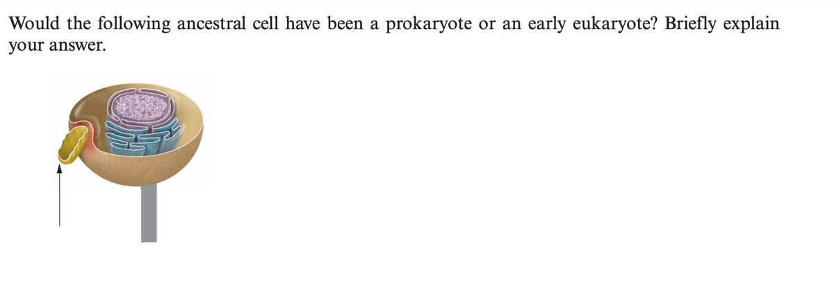 Would the following ancestral cell have been a prokaryote
or an
early eukaryote? Briefly explain
your answer.

