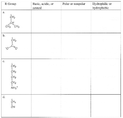 R Group
Basic, acidic, or
Polar or nonpolar
Ilydrophilic or
hydrophobic
neutral
a.
CH2
CH
ch, CH,
b.
CH2
c.
CH2
CH2
ÇH2
NH,"
d.
1.
OH
