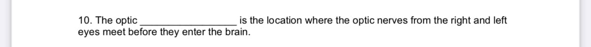 10. The optic
eyes meet before they enter the brain.
is the location where the optic nerves from the right and left
