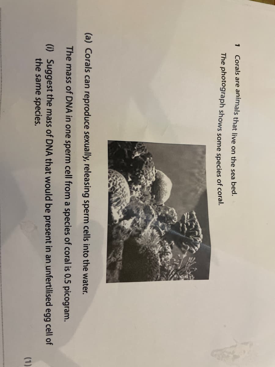 1
Corals are animals that live on the sea bed.
The photograph shows some species of coral.
(a) Corals can reproduce sexually, releasing sperm cells into the water.
The mass of DNA in one sperm cell from a species of coral is 0.5 picogram.
(i) Suggest the mass of DNA that would be present in an unfertilised egg cell of
the same species.
(1)
