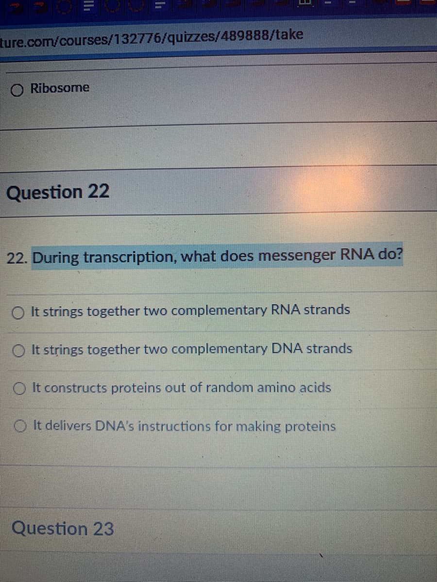 ture.com/courses/132776/quizzes/489888/take
O Ribosome
Question 22
22. During transcription, what does messenger RNA do?
O It strings together two complementary RNA strands
O It strings together two complementary DNA strands
O It constructS proteins out of random amino acids
O It delivers DNA's Instructions for making proteins
Question 23
