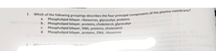 1.
Which of the following groupings describes the four principal components of the plasma membrane?
a. Phospholipid bilayer, ribosomes, glycocalyx, proteins
b. Phospholipid bilayer, proteins, cholesterol, glycocalyx
c. Phospholipid bilayer, DNA, proteins, cholesterol
d. Phospholipid bilayer, proteins, DNA, ribosomes