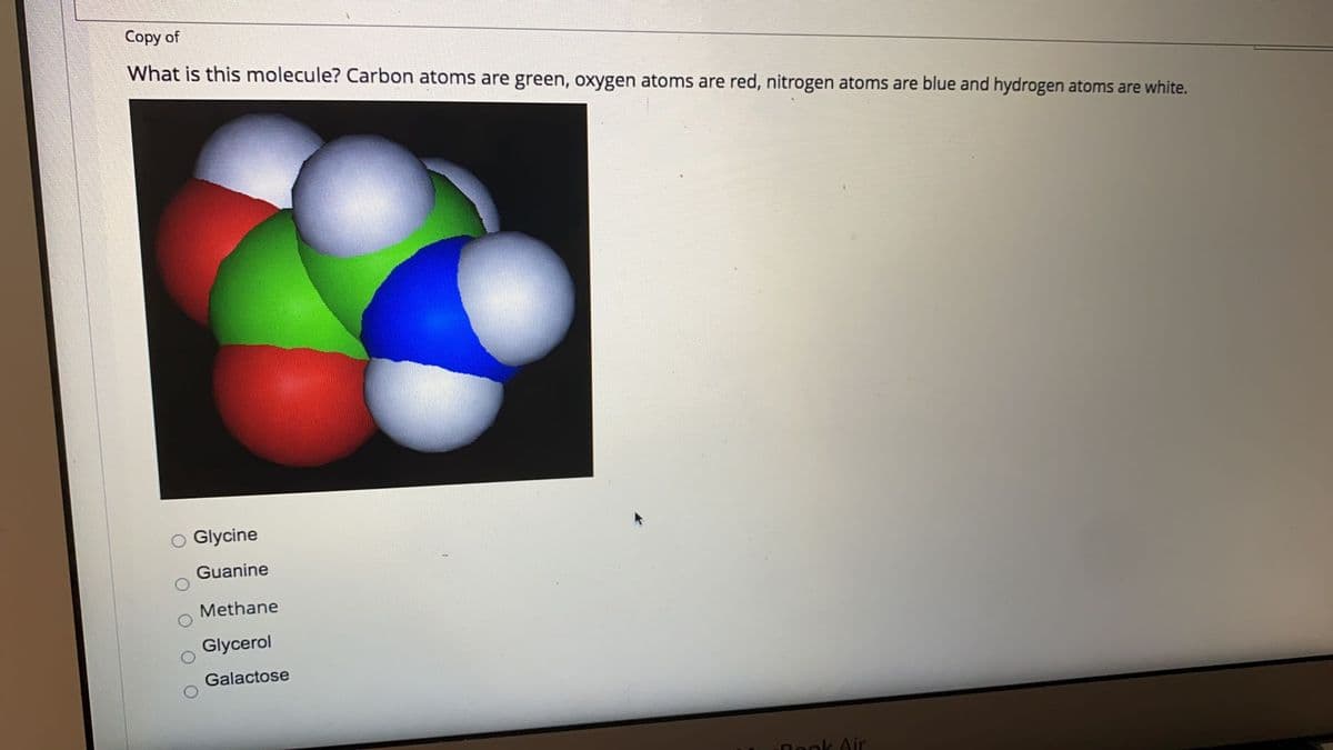 Copy of
What is this molecule? Carbon atoms are green, oxygen atoms are red, nitrogen atoms are blue and hydrogen atoms are white.
Glycine
Guanine
Methane
Glycerol
Galactose
Dook Air
