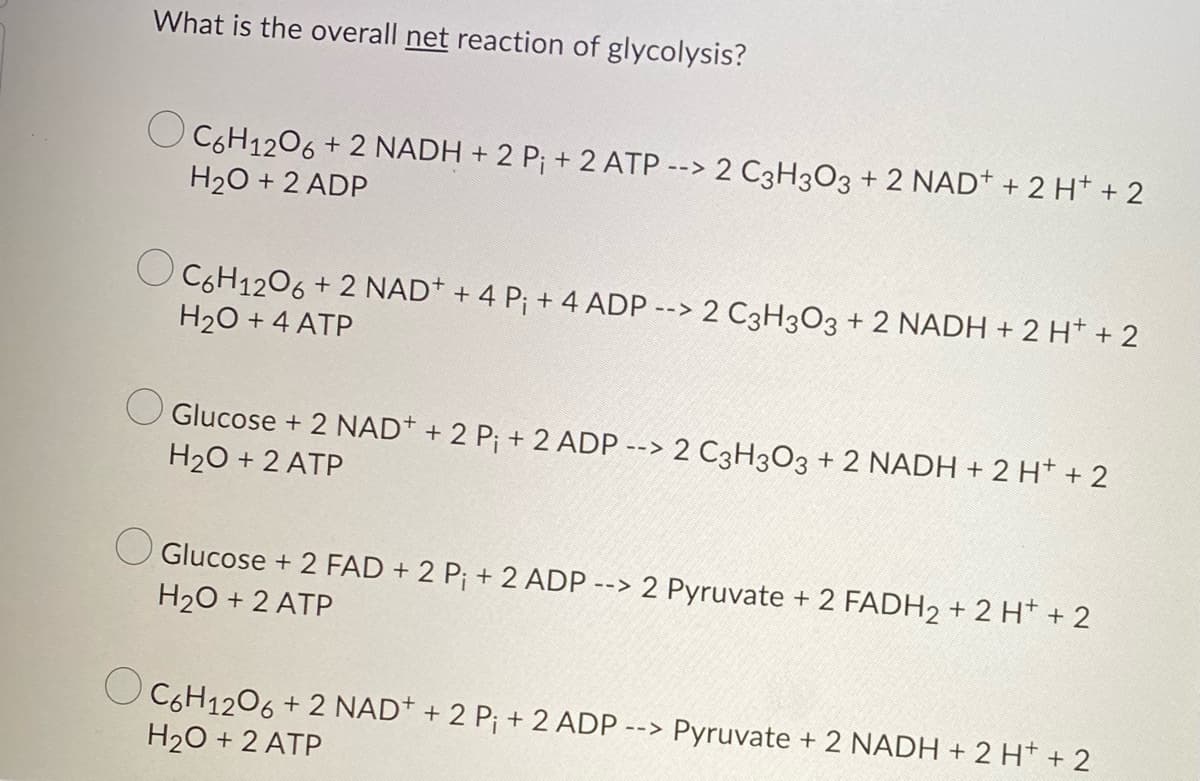 What is the overall net reaction of glycolysis?
C6H12O6 + 2 NADH + 2 P₁ + 2 ATP --> 2 C3H3O3 + 2 NAD+ + 2 H+ + 2
H₂O + 2 ADP
C6H12O6 + 2 NAD+ + 4 P₁ + 4 ADP --> 2 C3H3O3 + 2 NADH + 2 H+ + 2
H₂O + 4 ATP
Glucose + 2 NAD+ + 2 P₁ + 2 ADP --> 2 C3H3O3 + 2 NADH + 2 H+ + 2
H₂O + 2 ATP
Glucose + 2 FAD + 2 P; + 2 ADP --> 2 Pyruvate + 2 FADH₂ + 2 H+ + 2
H₂O + 2 ATP
C6H12O6 + 2 NAD+ + 2 P₁ + 2 ADP --> Pyruvate + 2 NADH + 2 H+ + 2
H₂O + 2 ATP