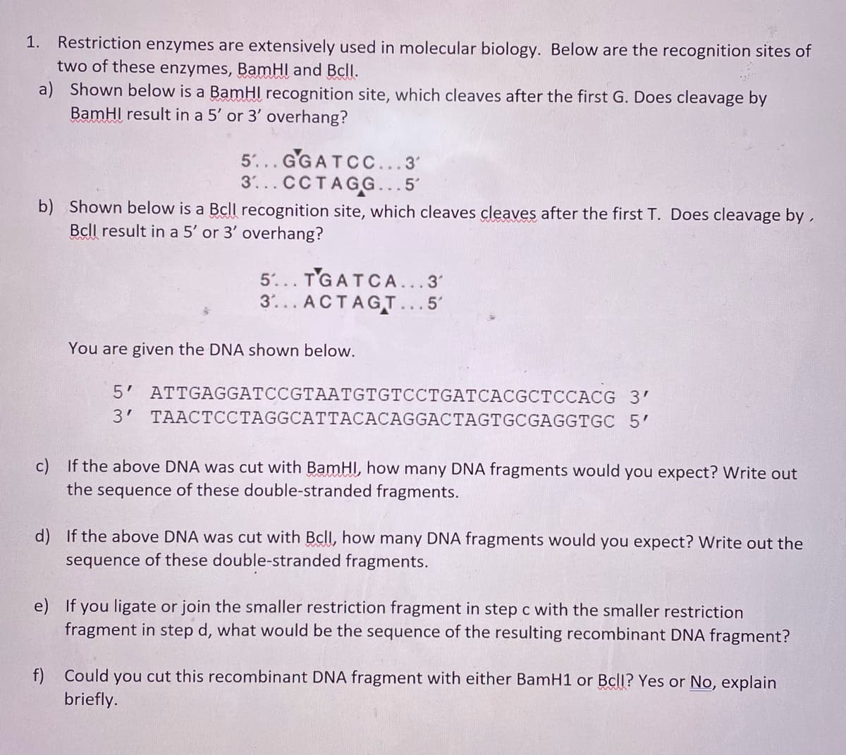 1. Restriction enzymes are extensively used in molecular biology. Below are the recognition sites of
two of these enzymes, BamHI and Bcll.
a) Shown below is a BamHI recognition site, which cleaves after the first G. Does cleavage by
BamHI result in a 5' or 3' overhang?
5... GGATCC...3'
3...CCTAGG...5'
b) Shown below is a Bcll recognition site, which cleaves cleaves after the first T. Does cleavage by ,
Bcll result in a 5' or 3' overhang?
5... TGATCA...3'
3'... ACTAGT.. 5'
You are given the DNA shown below.
5 ATTGAGGATCCGTAATGTGTCCTGATCACGCTCCACG 3'
3' TAACTCCTAGGCATTACACAGGACTAGTGCGAGGTGC 5'
c) If the above DNA was cut with BamHI, how many DNA fragments would you expect? Write out
the sequence of these double-stranded fragments.
d) If the above DNA was cut with Bcll, how many DNA fragments would you expect? Write out the
sequence of these double-stranded fragments.
e) If you ligate or join the smaller restriction fragment in step c with the smaller restriction
fragment in step d, what would be the sequence of the resulting recombinant DNA fragment?
f) Could you cut this recombinant DNA fragment with either BamH1 or Bcll? Yes or No, explain
briefly.

