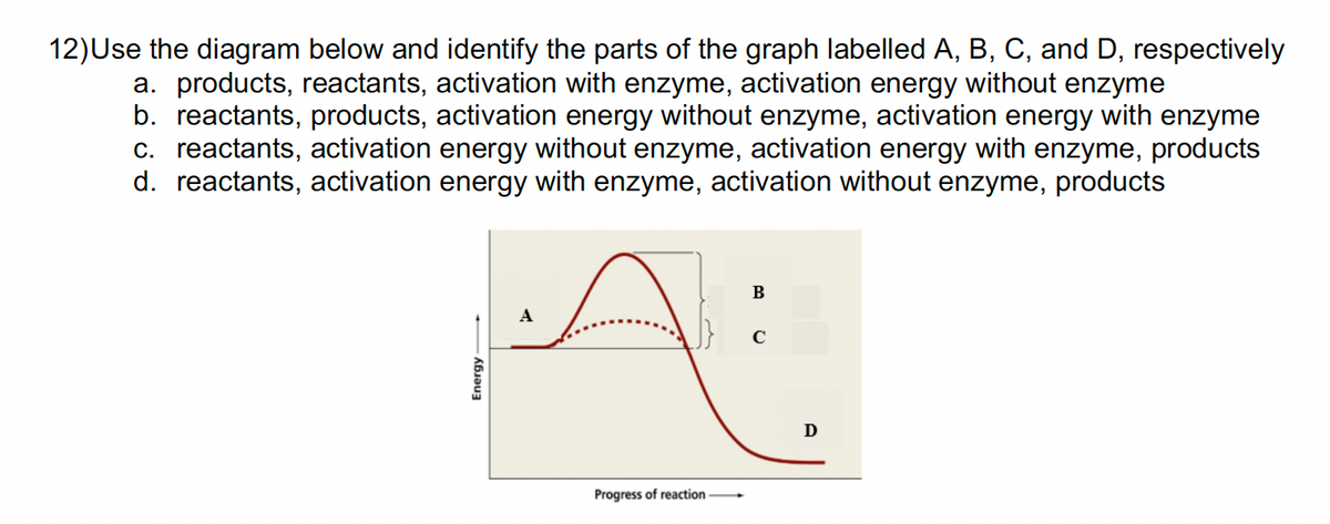 12)Use the diagram below and identify the parts of the graph labelled A, B, C, and D, respectively
a. products, reactants, activation with enzyme, activation energy without enzyme
b. reactants, products, activation energy without enzyme, activation energy with enzyme
c. reactants, activation energy without enzyme, activation energy with enzyme, products
d. reactants, activation energy with enzyme, activation without enzyme, products
A:
с
Energy
Progress of reaction
B
D