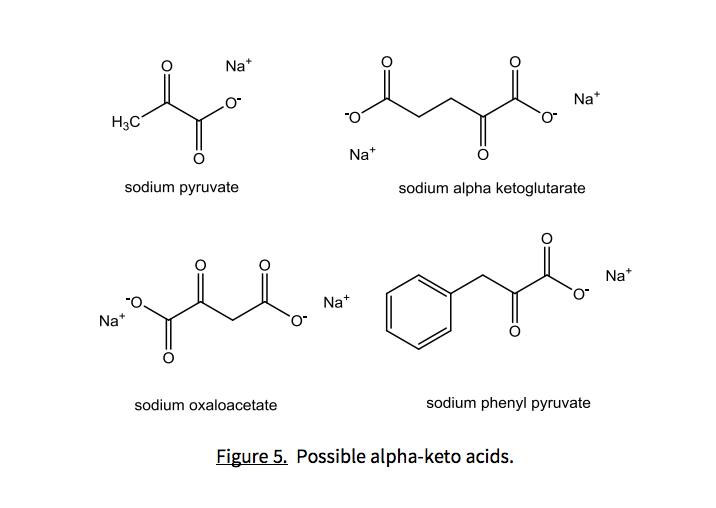 Na*
je tyl
H₂C
sodium pyruvate
sodium alpha ketoglutarate
Na*
Nat
geboort
Na+
sodium oxaloacetate
Na*
sodium phenyl pyruvate
Figure 5. Possible alpha-keto acids.
Na*