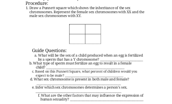 Procedure:
1. Draw a Punnett square which shows the inheritance of the sex
chromosomes. Represent the female sex chromosomes with XX and the
male sex chromosomes with XY.
Guide Questions:
a. What will be the sex of a child produced when an egg is fertilized
by a sperm that has a Y chromosome?.
b. What type of sperm must fertilize an egg to result in a female
child?
c. Based on this Punnett Square, what percent of children would you
expect to be male?
d. What sex chromosome is present in both male and female?
e. Infer which sex chromosomes determines a person's sex.
f. What are the other factors that may influence the expression of
human sexuality? .
