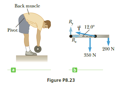 Back muscle
R,
I 12.0°
Pivot
R.
200 N
350 N
a
Figure P8.23
