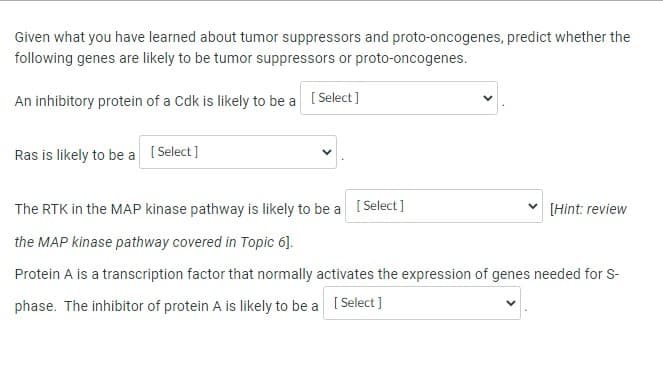 Given what you have learned about tumor suppressors and proto-oncogenes, predict whether the
following genes are likely to be tumor suppressors or proto-oncogenes.
An inhibitory protein of a Cdk is likely to be a [Select]
Ras is likely to be a [Select]
The RTK in the MAP kinase pathway is likely to be a [Select]
the MAP kinase pathway covered in Topic 6].
Protein A is a transcription factor that normally activates the expression of genes needed for S-
phase. The inhibitor of protein A is likely to be a [Select]
[Hint: review