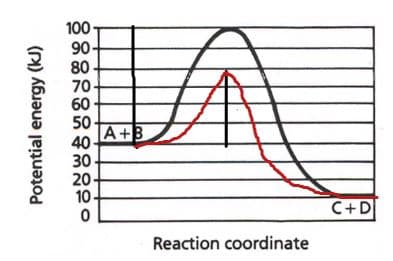 100
90
80
70
60
50
A+B
40
30
20
10
C+D
Reaction coordinate
Potential energy (kJ)
