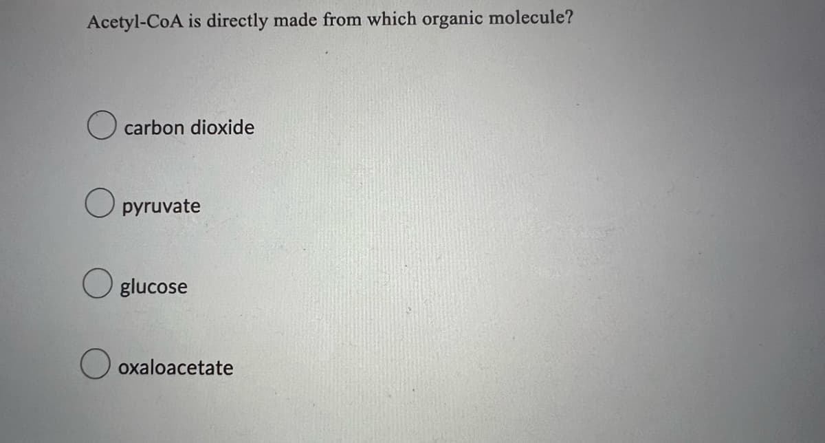 Acetyl-CoA is directly made from which organic molecule?
O
carbon dioxide
O pyruvate
Oglucose
oxaloacetate